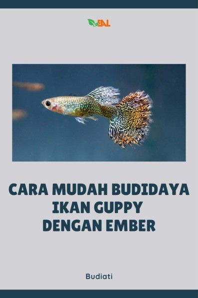 Cara Mudah Budidaya Ikan Guppy dengan Ember
